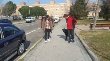 Educación canina en Ciudad Real – práctica en entorno urbano. Tutor y tutora trabajando la obediencia con su perro en una calle de Ciudad Real.
