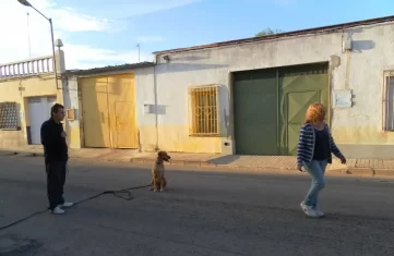 Adiestramiento de perros en Ciudad Real – práctica de paseo en barrio residencial. Entrenamiento de paseo con perro en un barrio residencial de Ciudad Real.